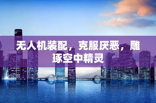 无人机装配，克服厌恶，雕琢空中精灵