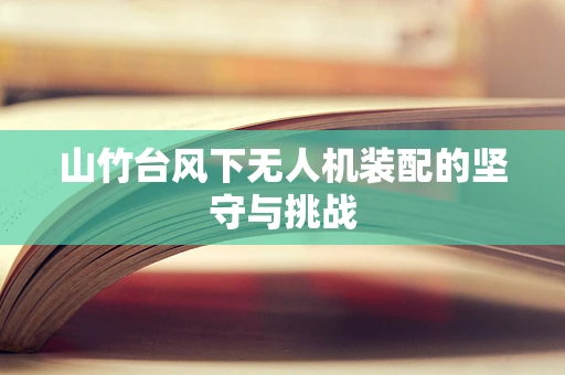 山竹台风下无人机装配的坚守与挑战