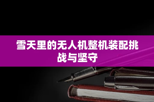 雪天里的无人机整机装配挑战与坚守