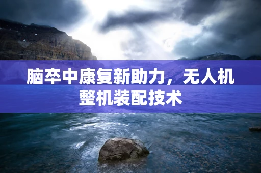 脑卒中康复新助力，无人机整机装配技术