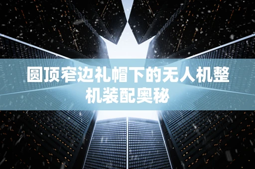 圆顶窄边礼帽下的无人机整机装配奥秘