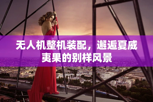 无人机整机装配，邂逅夏威夷果的别样风景