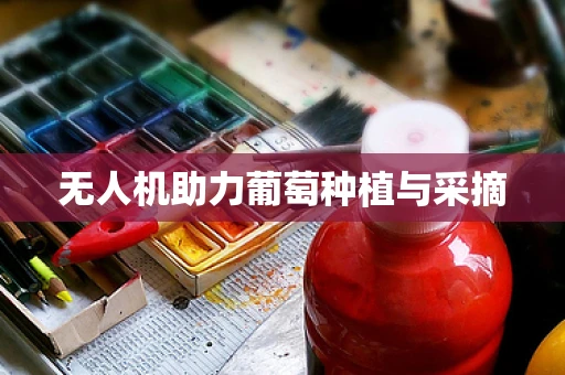 无人机助力葡萄种植与采摘