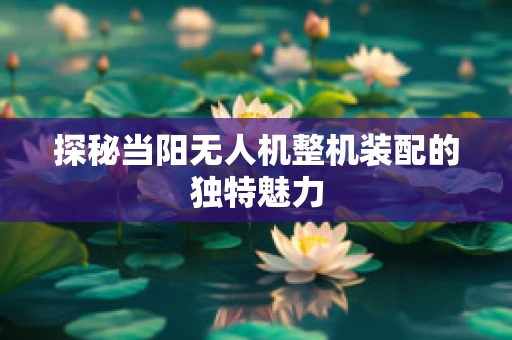 探秘当阳无人机整机装配的独特魅力