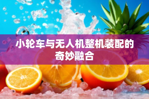 小轮车与无人机整机装配的奇妙融合