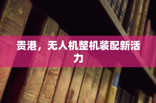 贵港，无人机整机装配新活力