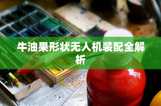牛油果形状无人机装配全解析