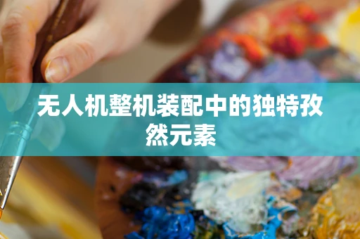无人机整机装配中的独特孜然元素