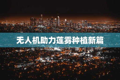 无人机助力莲雾种植新篇