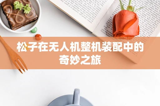 松子在无人机整机装配中的奇妙之旅