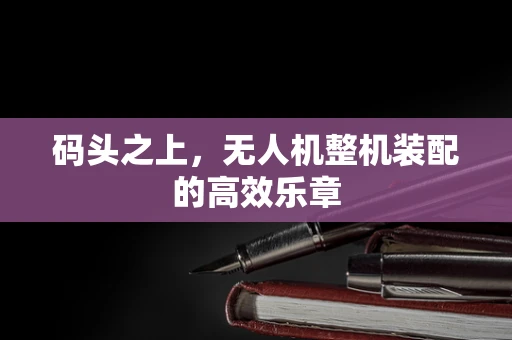 码头之上，无人机整机装配的高效乐章