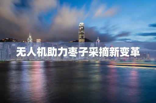 无人机助力枣子采摘新变革