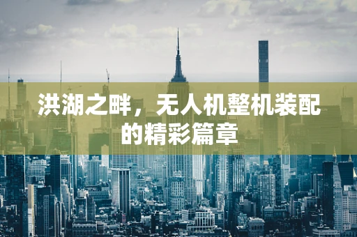 洪湖之畔，无人机整机装配的精彩篇章
