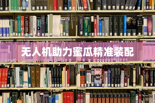 无人机助力蜜瓜精准装配