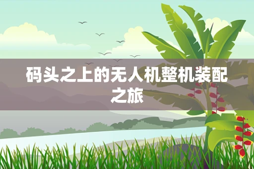 码头之上的无人机整机装配之旅
