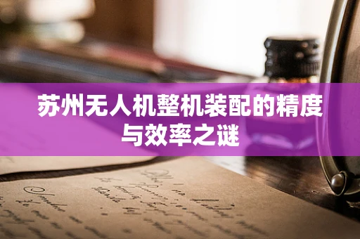 苏州无人机整机装配的精度与效率之谜