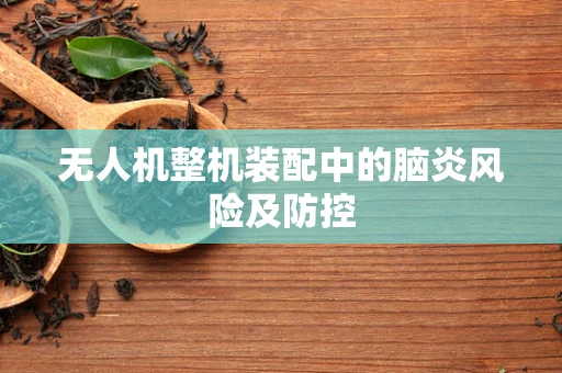 无人机整机装配中的脑炎风险及防控