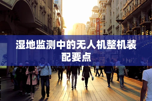 湿地监测中的无人机整机装配要点