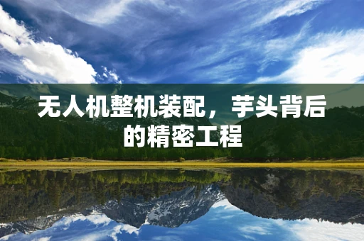 无人机整机装配，芋头背后的精密工程