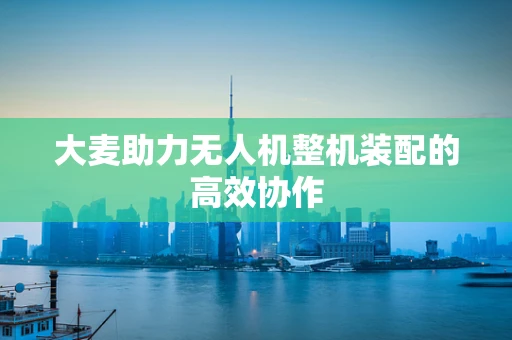 大麦助力无人机整机装配的高效协作