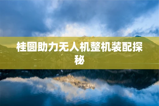桂圆助力无人机整机装配探秘