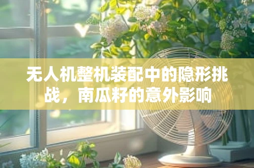 无人机整机装配中的隐形挑战，南瓜籽的意外影响