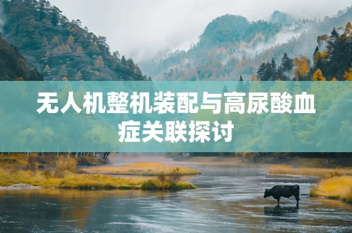 无人机整机装配与高尿酸血症关联探讨