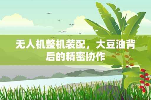 无人机整机装配，大豆油背后的精密协作