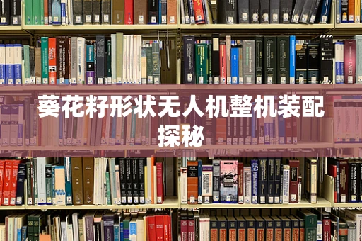 葵花籽形状无人机整机装配探秘