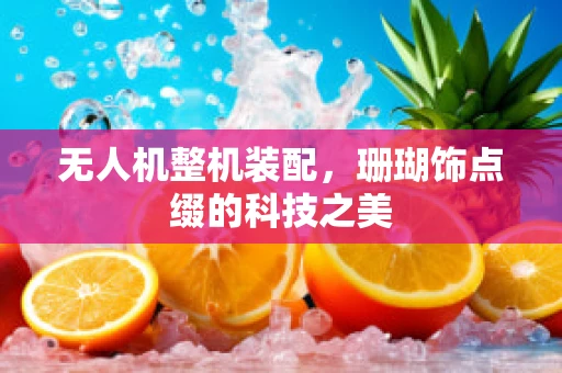 无人机整机装配，珊瑚饰点缀的科技之美