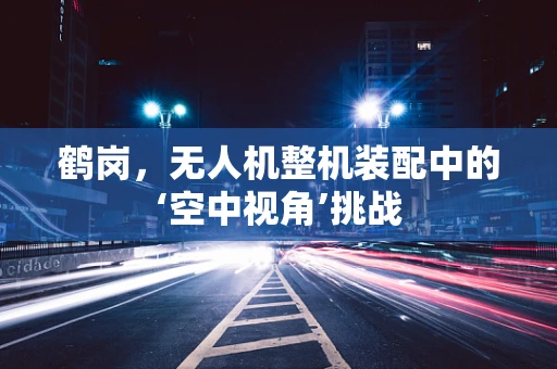 鹤岗，无人机整机装配中的‘空中视角’挑战