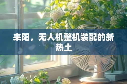耒阳，无人机整机装配的新热土
