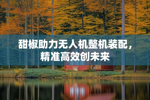 甜椒助力无人机整机装配，精准高效创未来