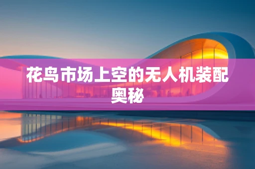 花鸟市场上空的无人机装配奥秘