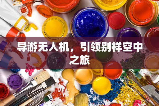 导游无人机，引领别样空中之旅