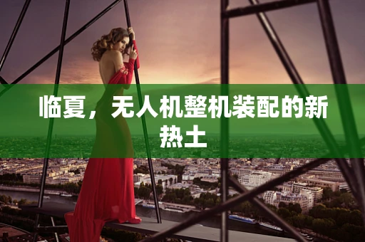 临夏，无人机整机装配的新热土