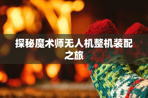 探秘魔术师无人机整机装配之旅