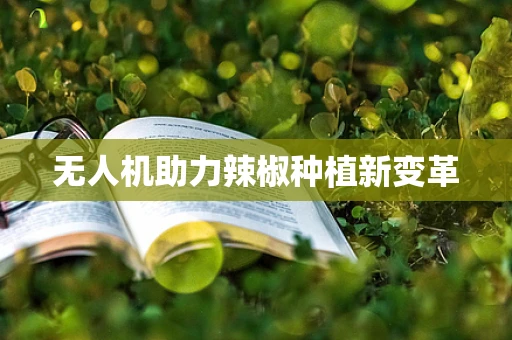 无人机助力辣椒种植新变革