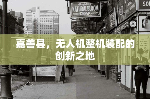 嘉善县，无人机整机装配的创新之地