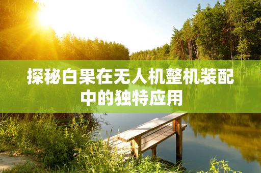探秘白果在无人机整机装配中的独特应用