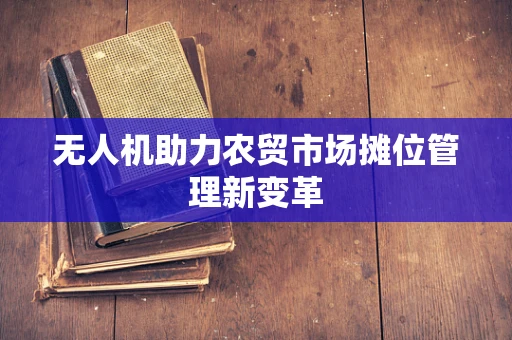 无人机助力农贸市场摊位管理新变革