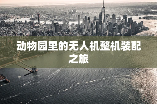动物园里的无人机整机装配之旅