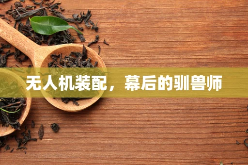 无人机装配，幕后的驯兽师