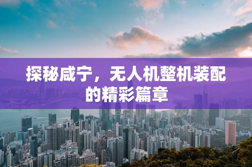 探秘咸宁，无人机整机装配的精彩篇章