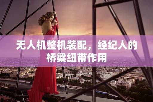 无人机整机装配，经纪人的桥梁纽带作用