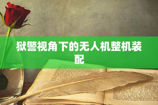 狱警视角下的无人机整机装配