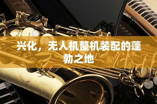 兴化，无人机整机装配的蓬勃之地