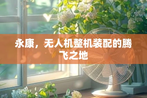 永康，无人机整机装配的腾飞之地