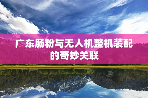 广东肠粉与无人机整机装配的奇妙关联