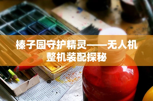 榛子园守护精灵——无人机整机装配探秘